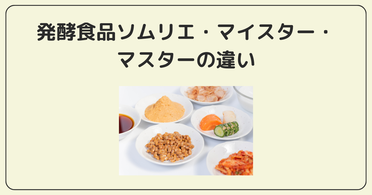 比較】発酵食品ソムリエ・マイスター・マスターはどれがおすすめ？違い 